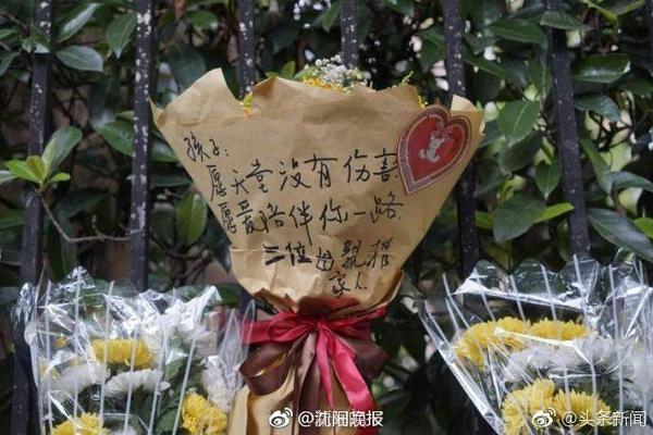 aa视频手机版