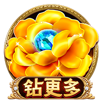 aa视频最新版